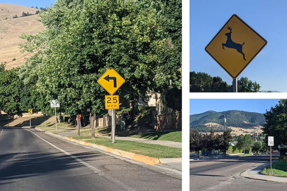 Dear Missoula: Slow Down On S Higgins
