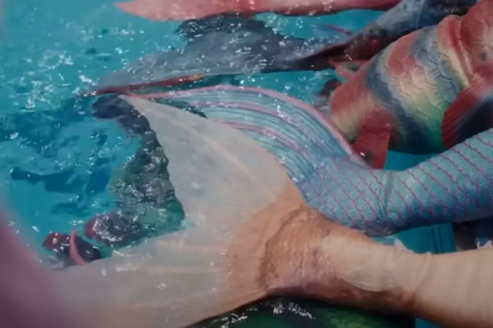 Have You Heard This Magical Fish Tale? Montana Has Mermaids
