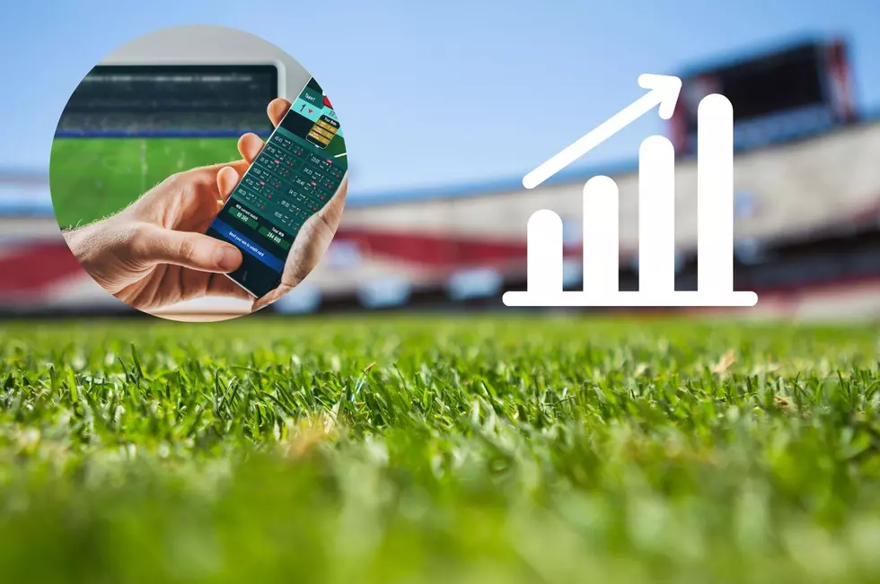 Montana Sports Gambling Was Big Business In 2023