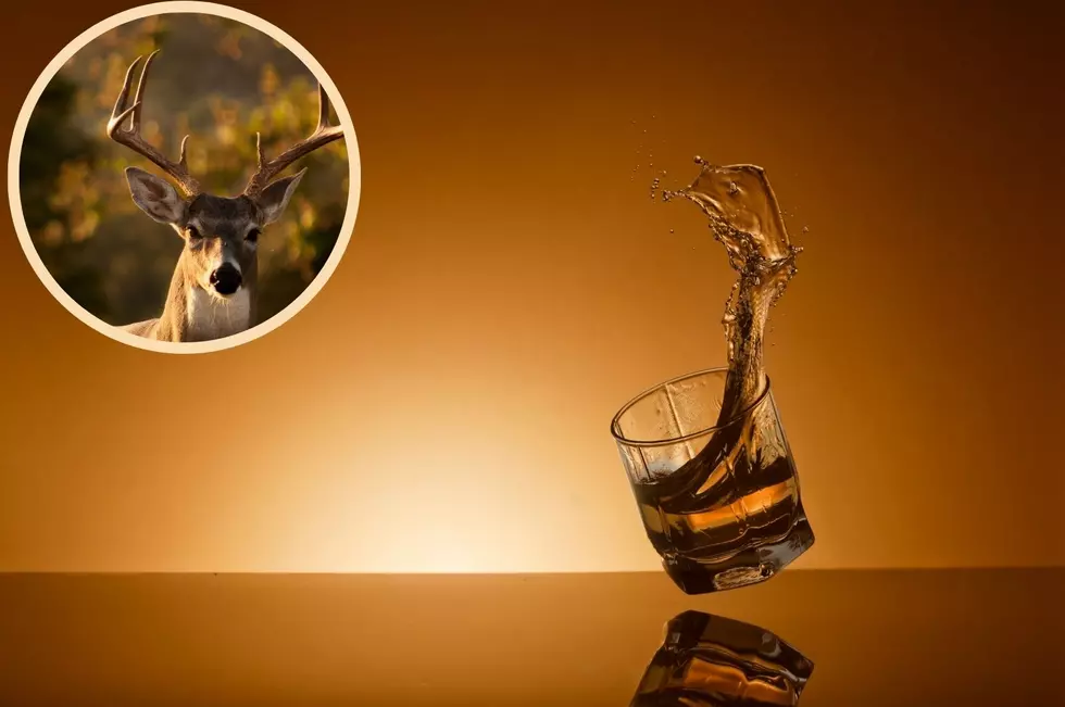 Montana Distilleries Need To Make This Unique Whiskey