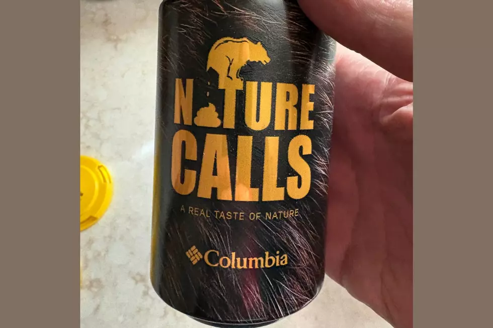 I Tried the Beer Made From Montana Black Bear Poop — Here’s What Happened